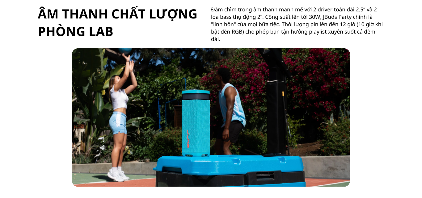 Pasted image