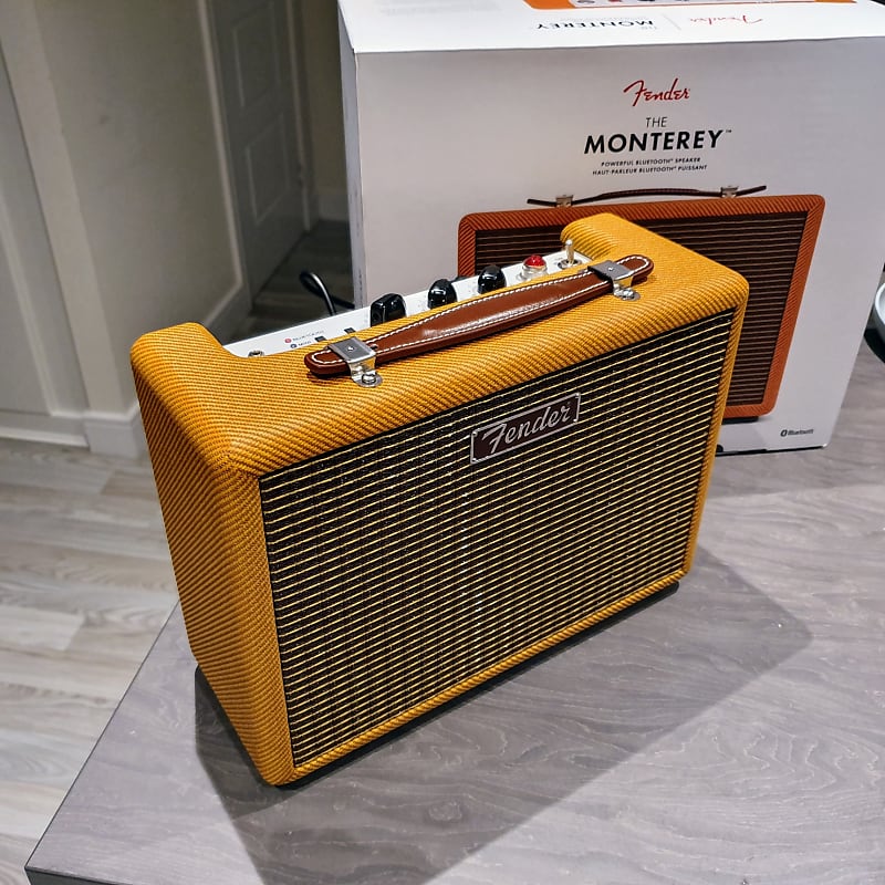 Fender Tweed - Ảnh 6