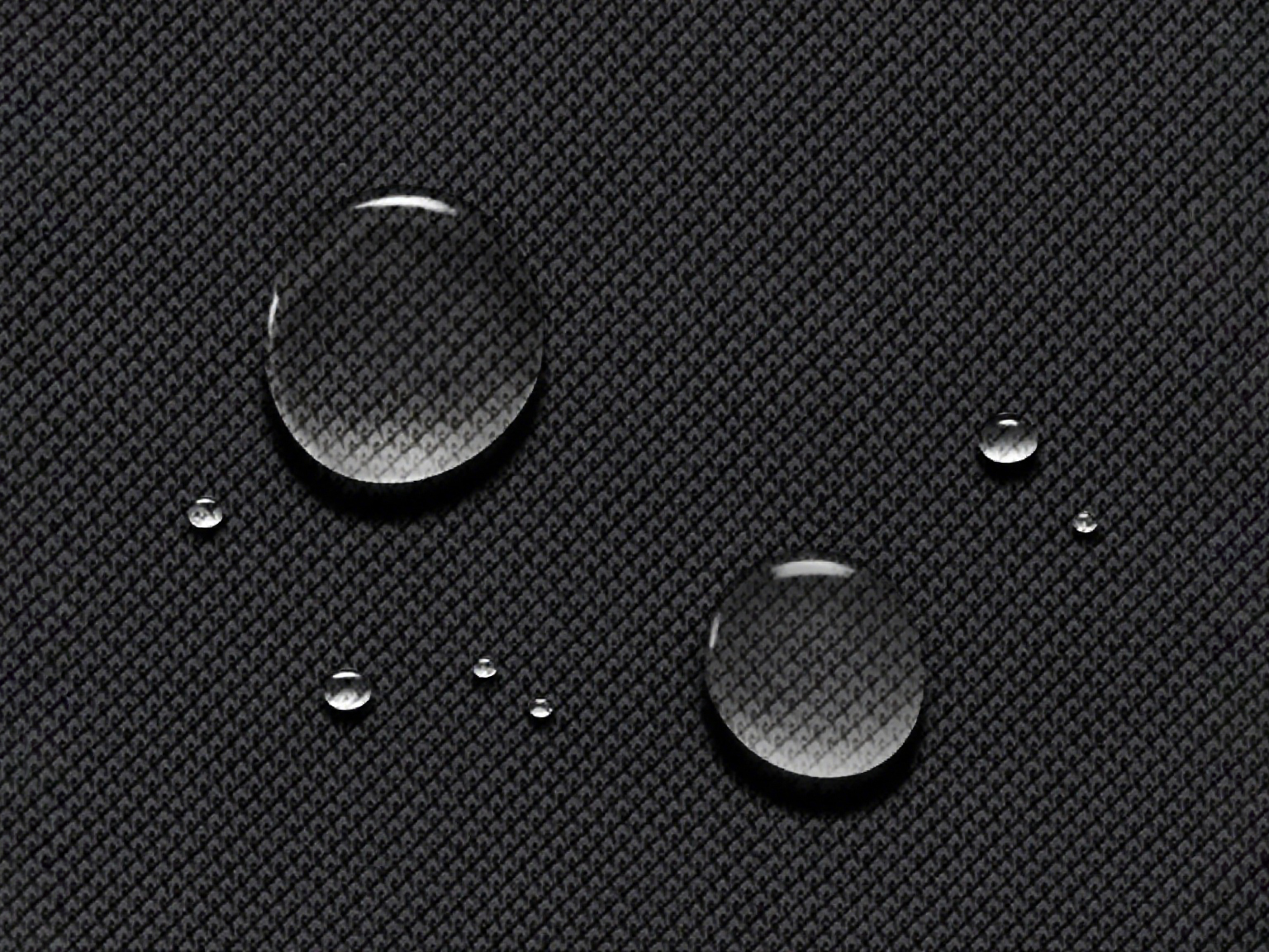 Pasted image