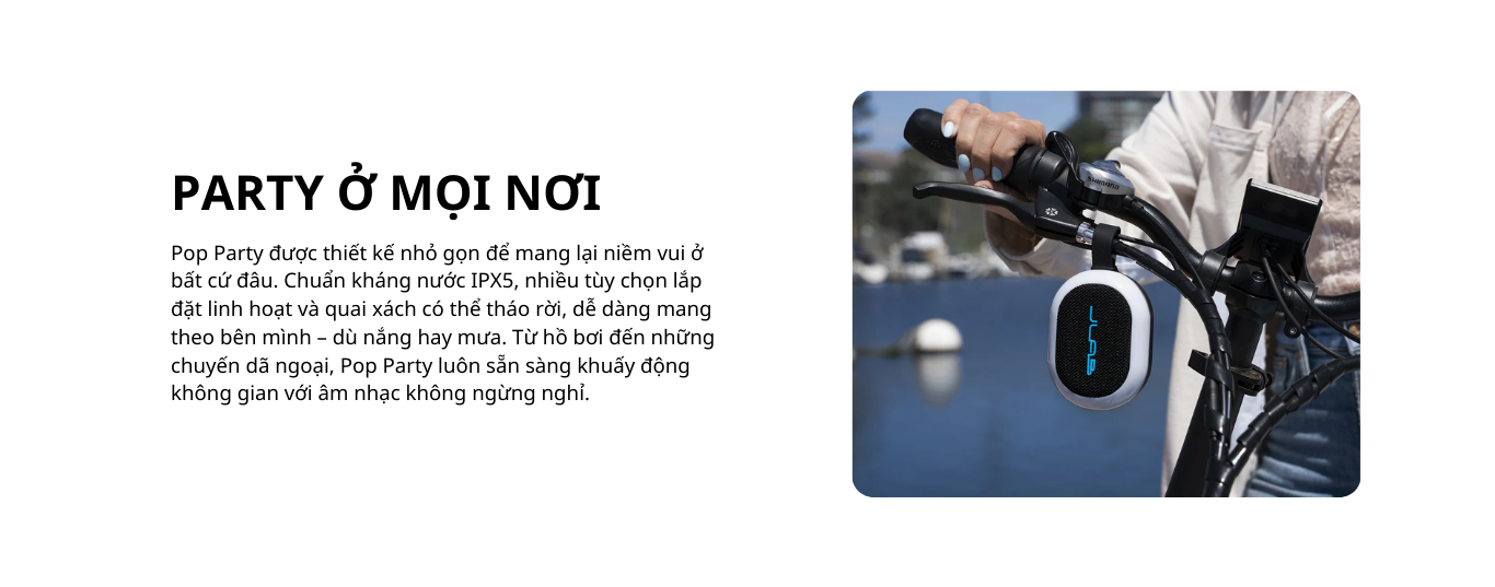 Pasted image