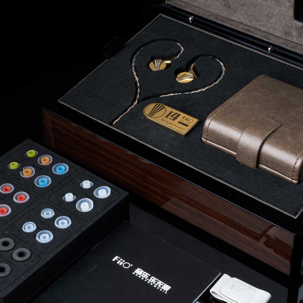FiiO FDX - Ảnh 5