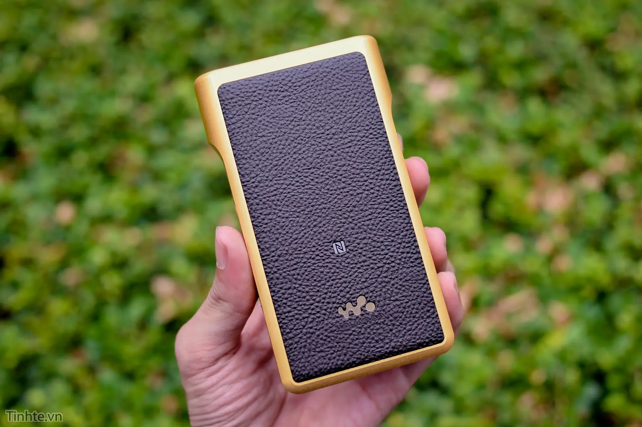 Đang tải Sony_nw1Z_Tinhte_09.jpg…