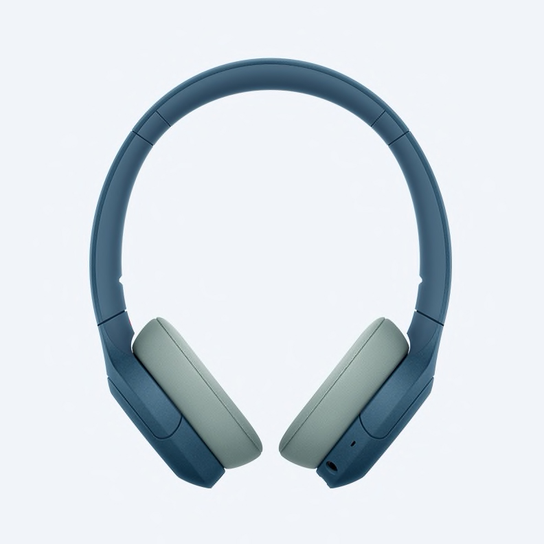 Sony WH-H810 - Ảnh 7