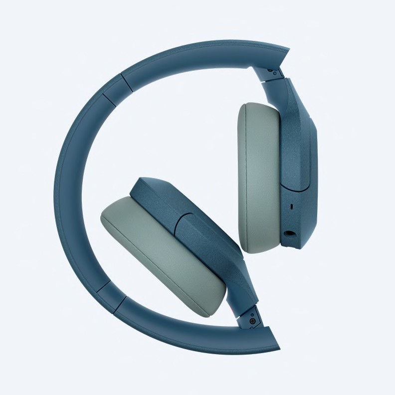 Sony WH-H810 - Ảnh 8