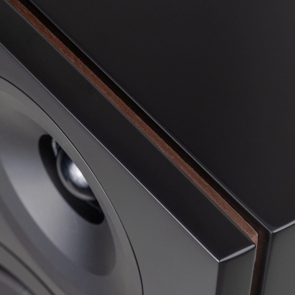 System Audio Legend 40.2 Silverback DS - Ảnh 6