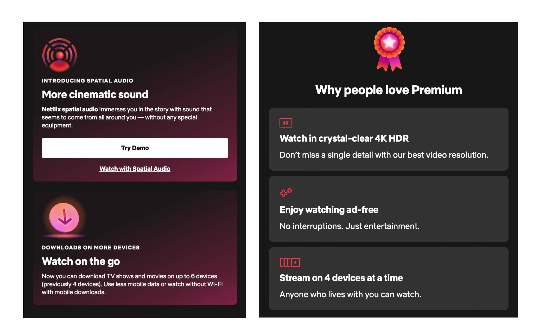 netflix premium.jpg