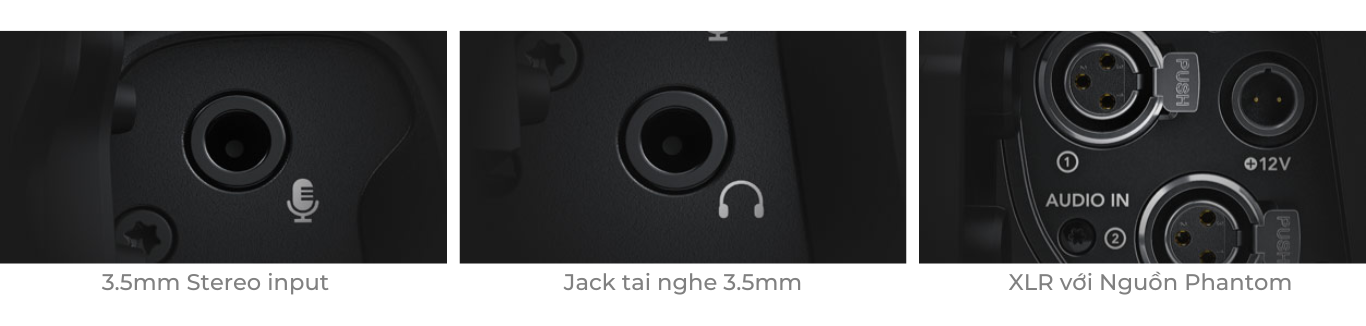 Pasted image