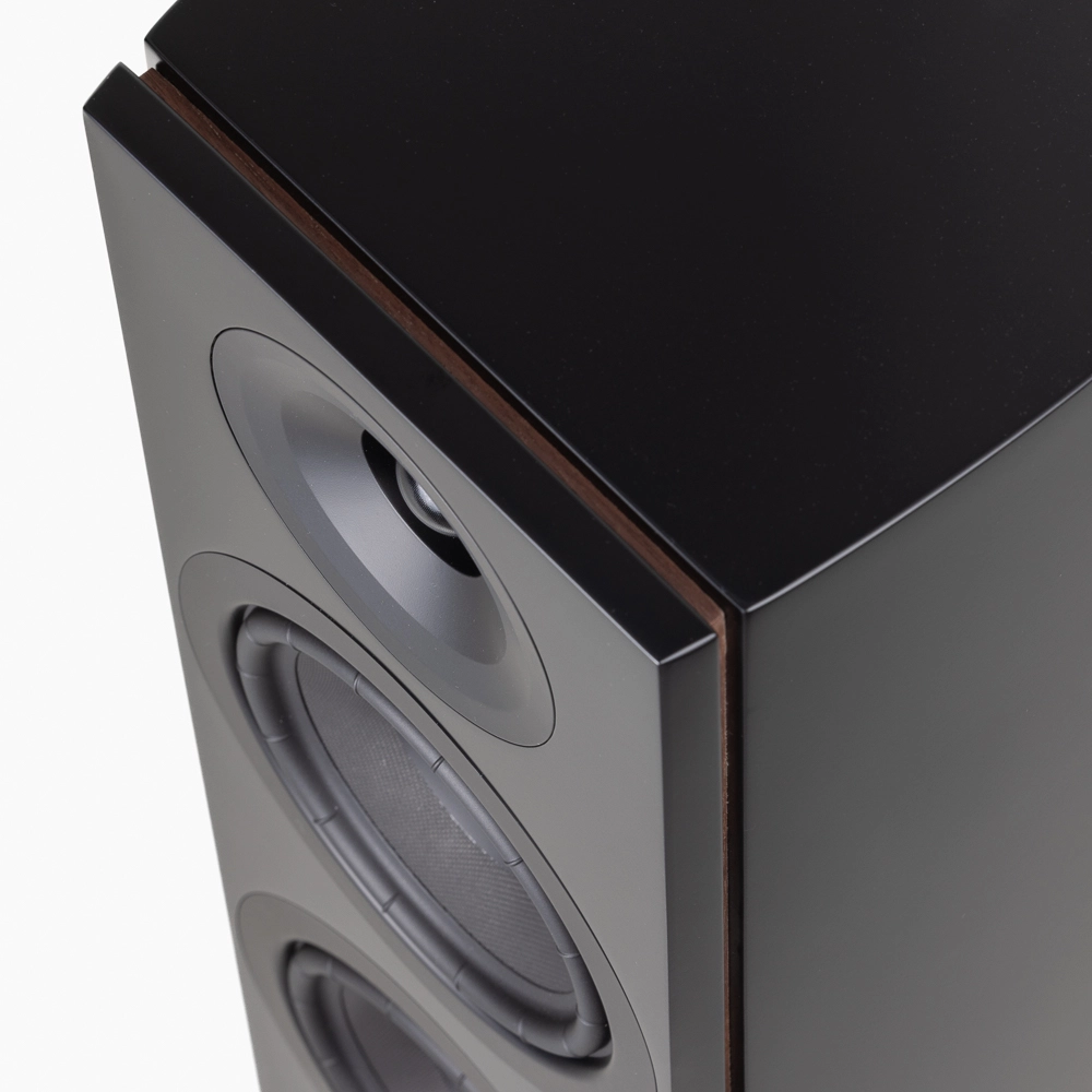 System Audio Legend 40.2 Silverback DS - Ảnh 5