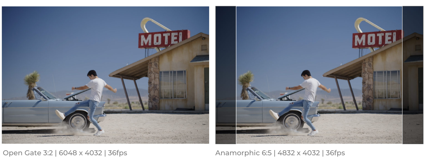 Pasted image