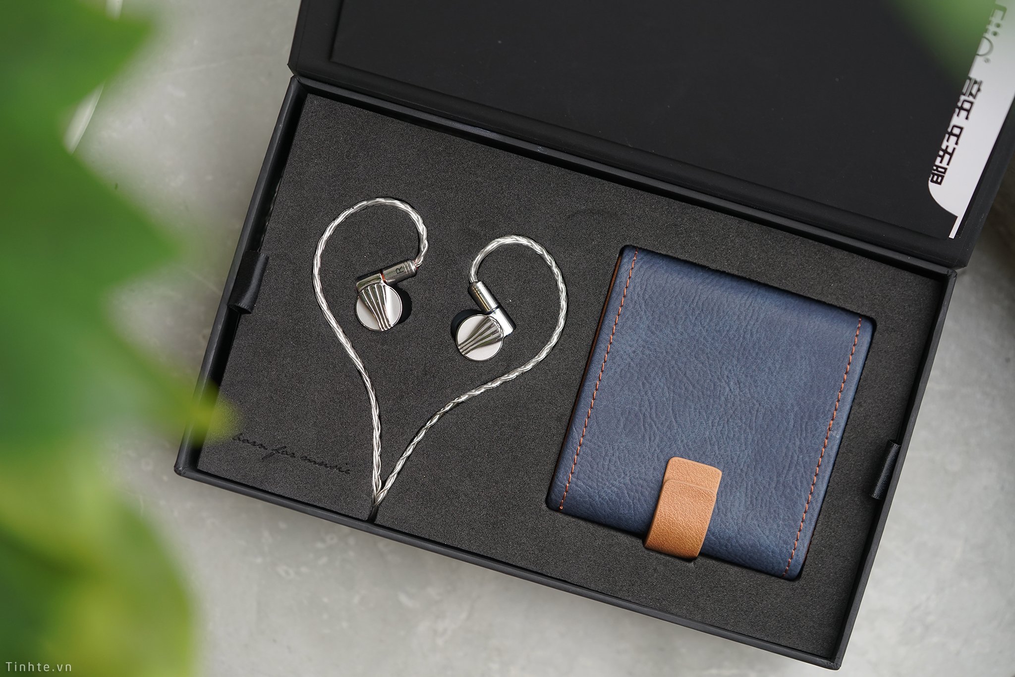 FiiO FD5 - Ảnh 9